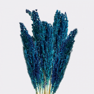 6 x Cantal Grass Bunch - Blue